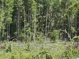  Active Road - Photo 14