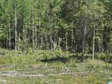 Active Road - Photo 13