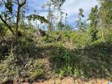  Active Road - Photo 29