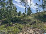  Active Road - Photo 30