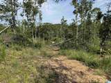  Active Road - Photo 31