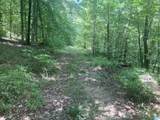 91 Acres County Road 1043 - Photo 11