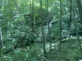 91 Acres County Road 1043 - Photo 12