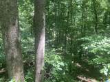 91 Acres County Road 1043 - Photo 13