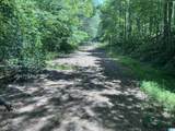 91 Acres County Road 1043 - Photo 3