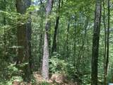 91 Acres County Road 1043 - Photo 4