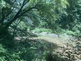 91 Acres County Road 1043 - Photo 6