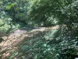 91 Acres County Road 1043 - Photo 8