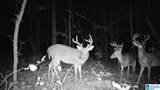 6717 Highway 71 - Photo 67
