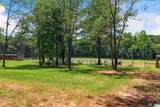 6717 Highway 71 - Photo 89