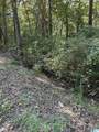 0 Maplewood Drive - Photo 2