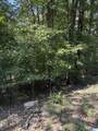 0 Maplewood Drive - Photo 5