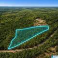 0 County Road 138 - Photo 7