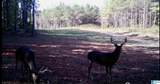 576 Highway 61 - Photo 3