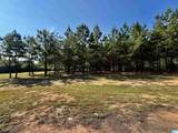 576 Highway 61 - Photo 5