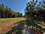 576 Highway 61 - Photo 7