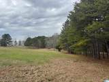 3953 Logan Martin Dam Road - Photo 33
