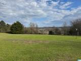 3953 Logan Martin Dam Road - Photo 34