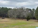 3953 Logan Martin Dam Road - Photo 35