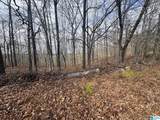 3953 Logan Martin Dam Road - Photo 36