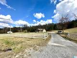 7003 Alabama Highway 174 - Photo 13