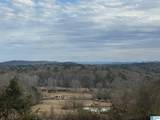 3953 Logan Martin Dam Road - Photo 29