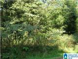 228 Gober Drive - Photo 1