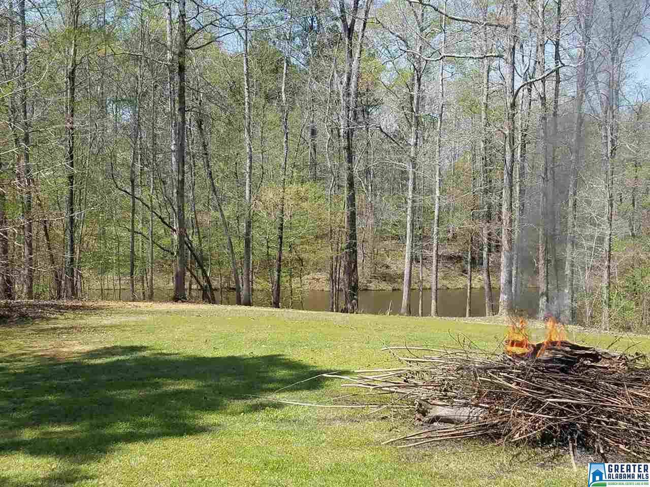 259 Shore Front Ln - Photo 1