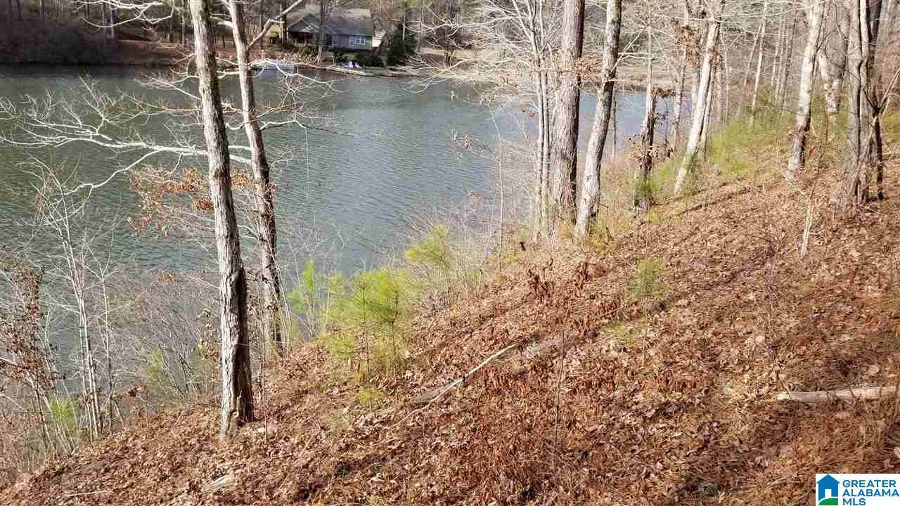 Lot 34 Paint Creek Overlook - Photo 1
