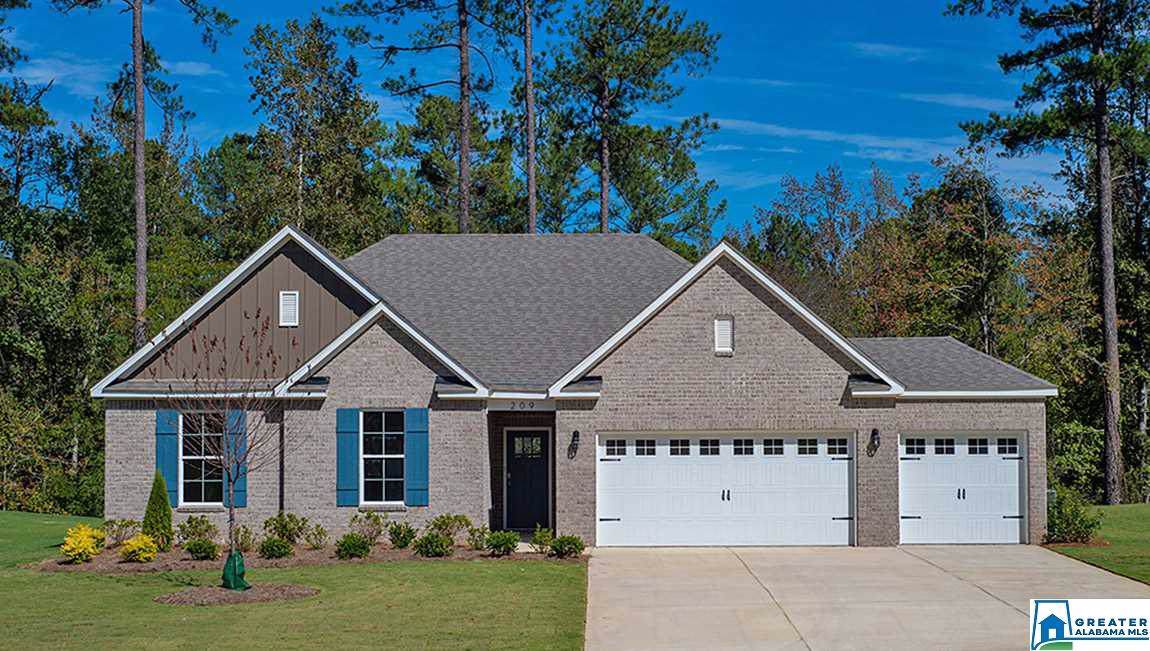 209 Rock Terrace Cir - Photo 1