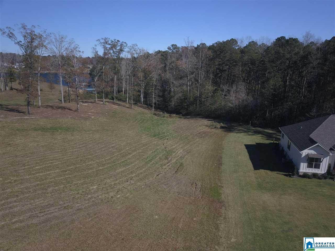 0 Sipsey Shores - Photo 1