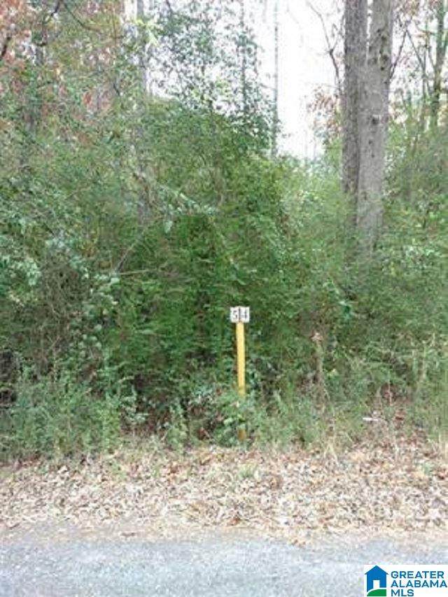 1424 Steve Crowder Rd - Photo 1