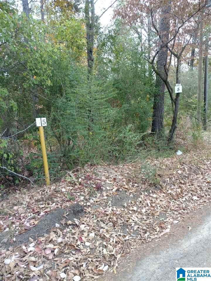 1416 Steve Crowder Rd - Photo 1