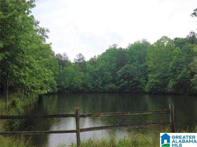 Lot 33 Woodgate Shores Dr - Photo 1