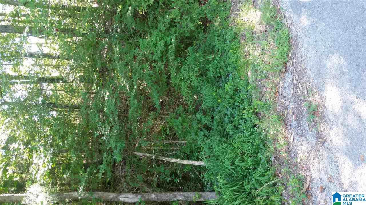 00 Montgomery Dr - Photo 1