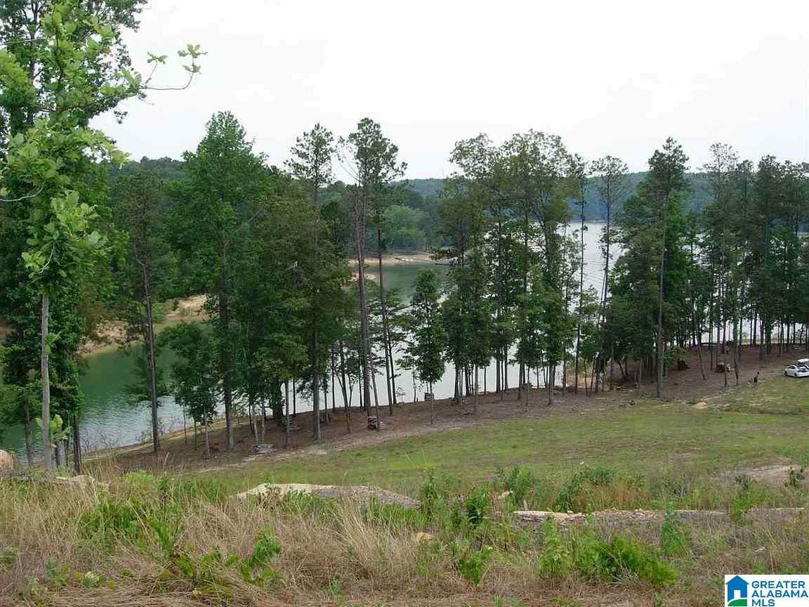 43 Flatwater Circle - Photo 1