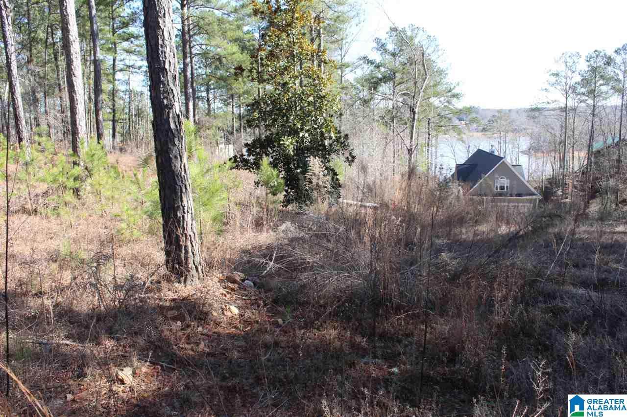 Lot 36 Co Rd 256 - Photo 1