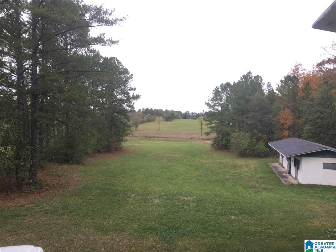 319 Highway 280 - Photo 1