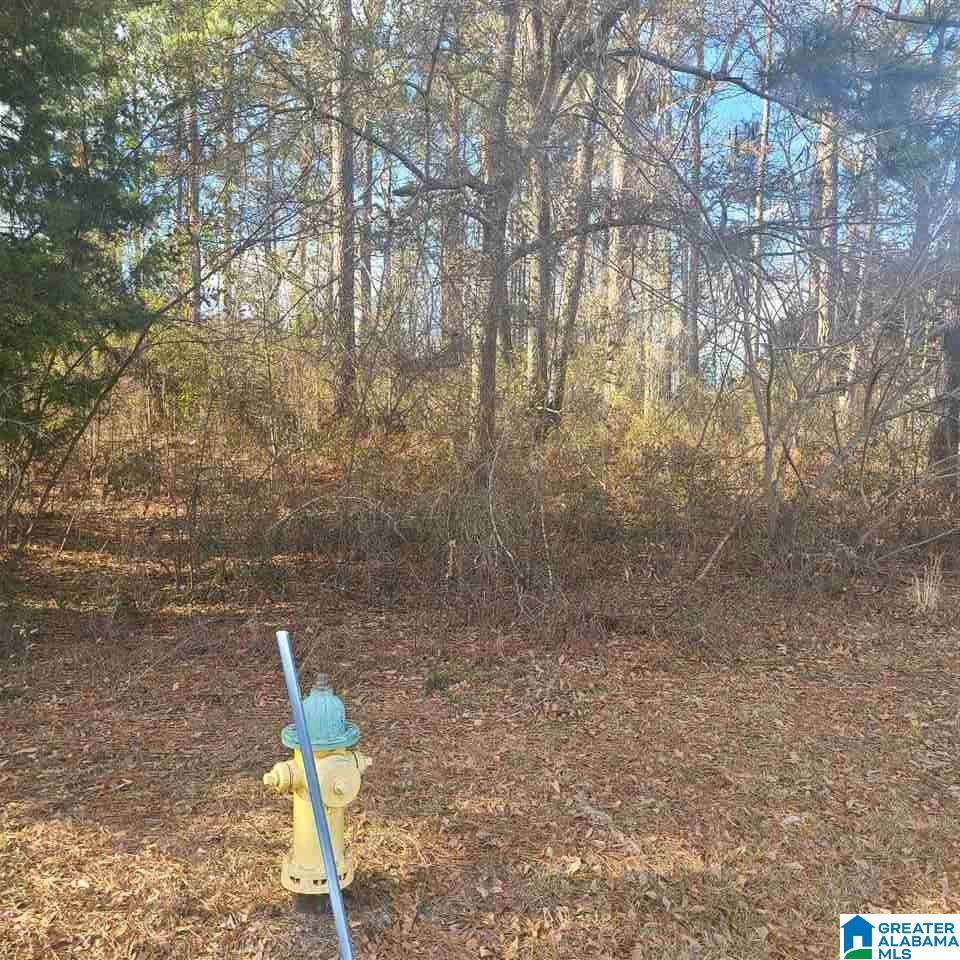 0 Castleberry Dr - Photo 1