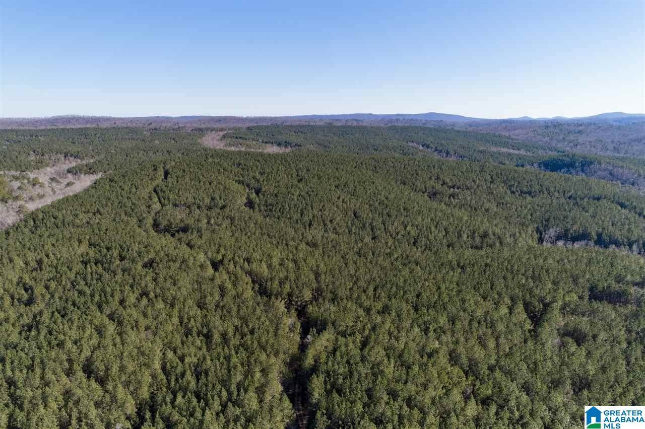 0 Mountain Rd - Photo 1