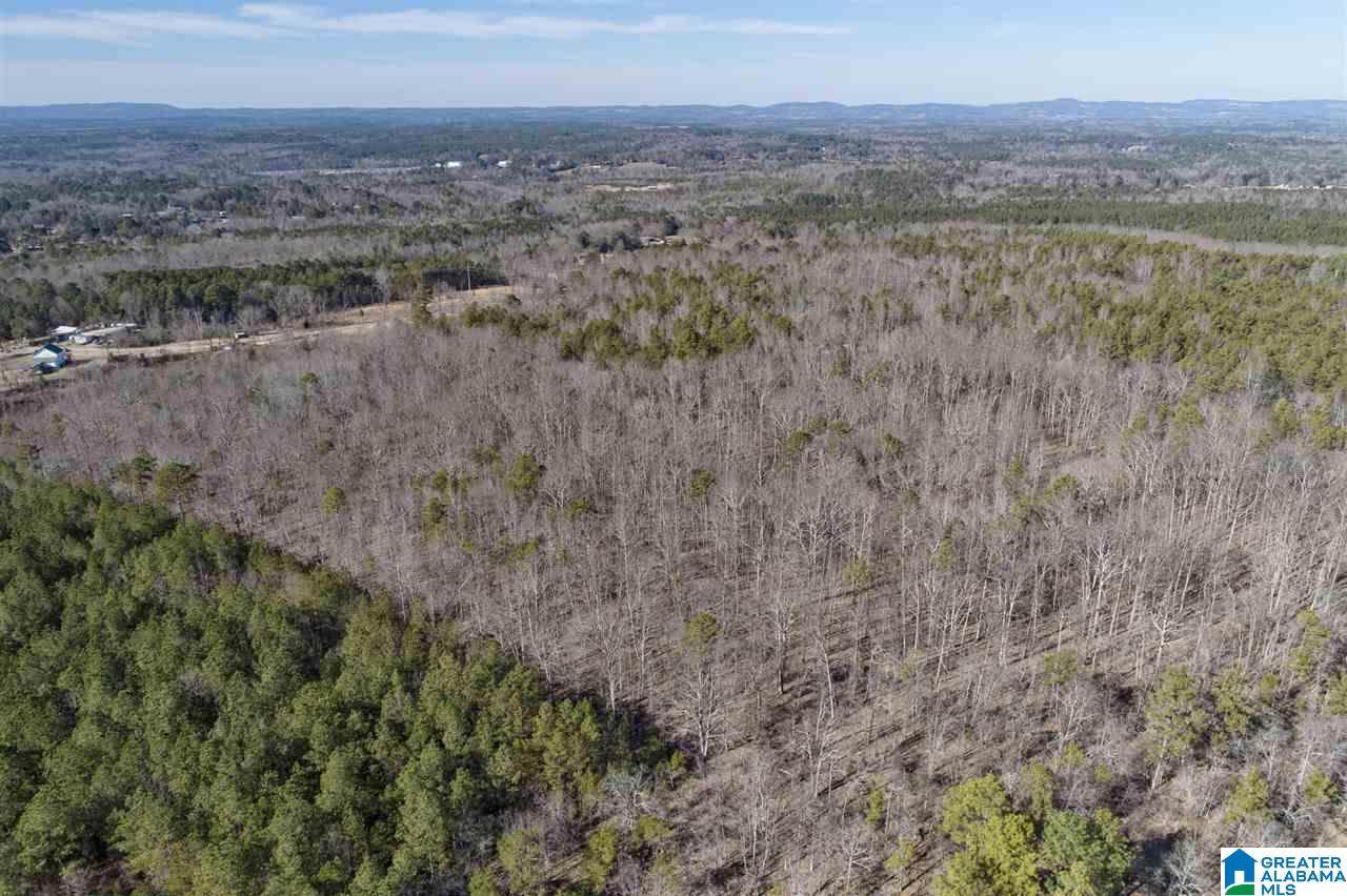 0 Mountain Rd - Photo 1