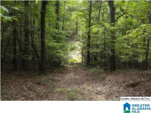 8532 Shady Trl - Photo 1