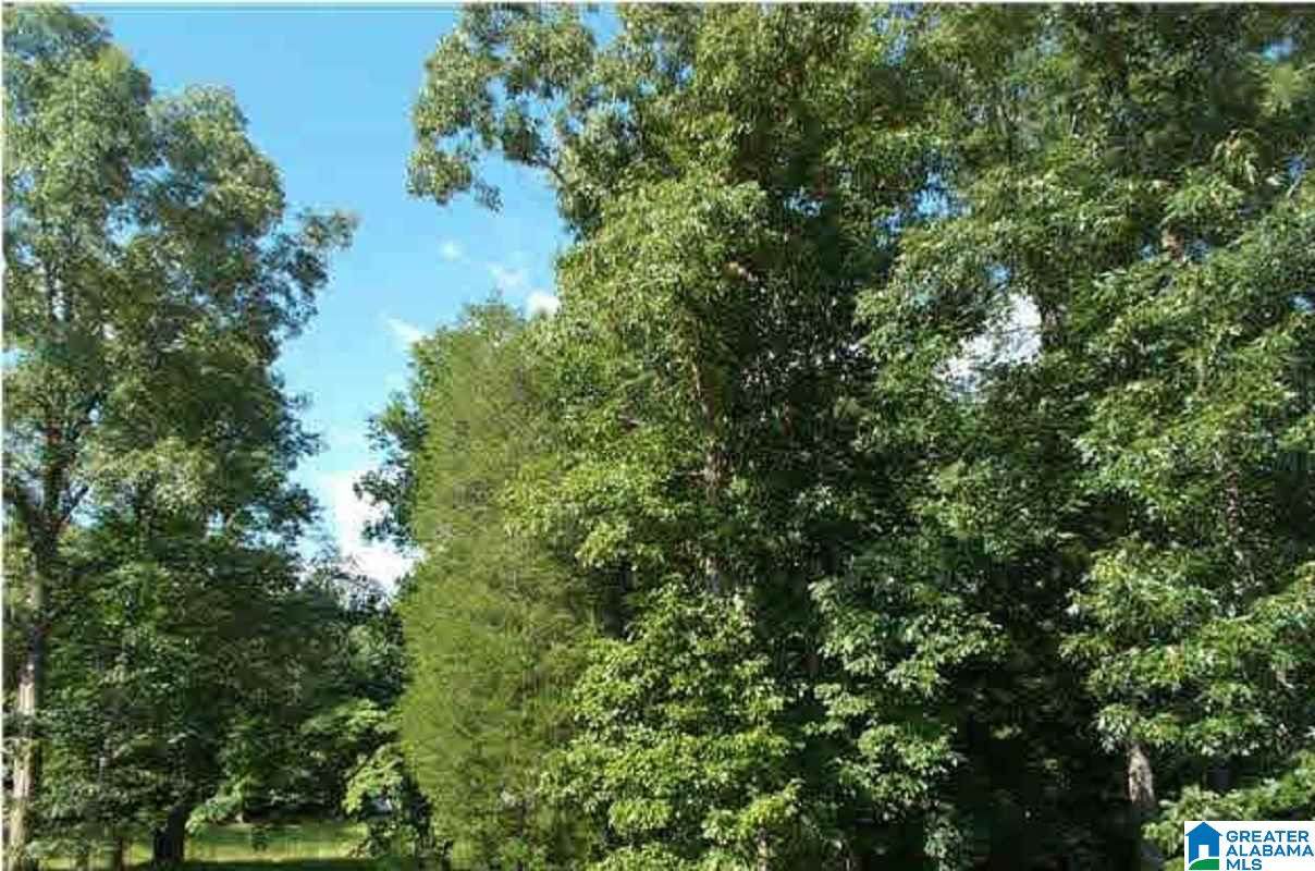 2240 White Post Rd - Photo 1