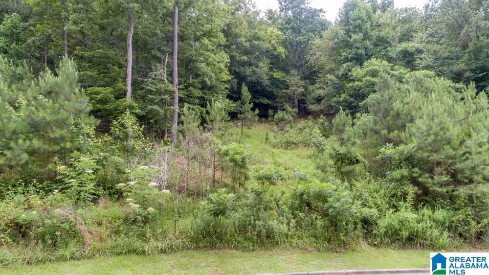 1510 Lacie Drive - Photo 1