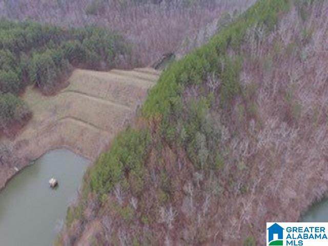 County Road 224 - Photo 1