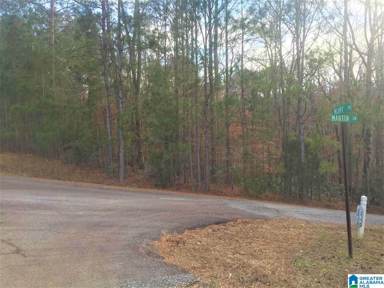 Lot 39 Martin Ln - Photo 1