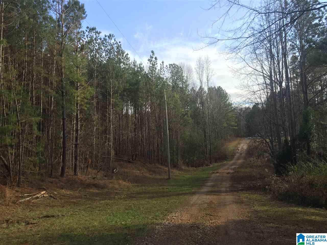 Lot 29 Bluffs Cir - Photo 1