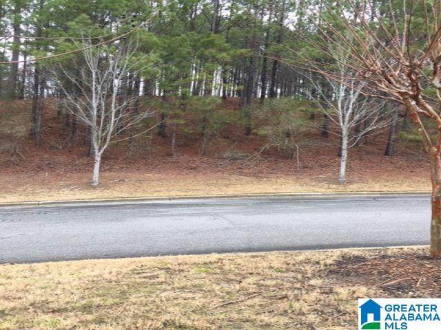3655 Morgans Run Pkwy - Photo 1