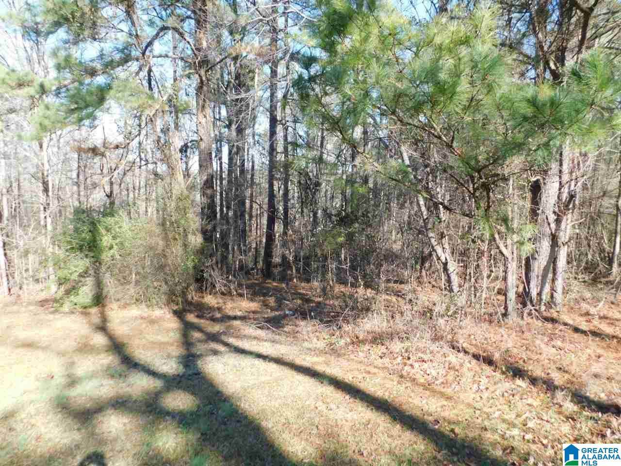 0 Village Springs Rd - Photo 1