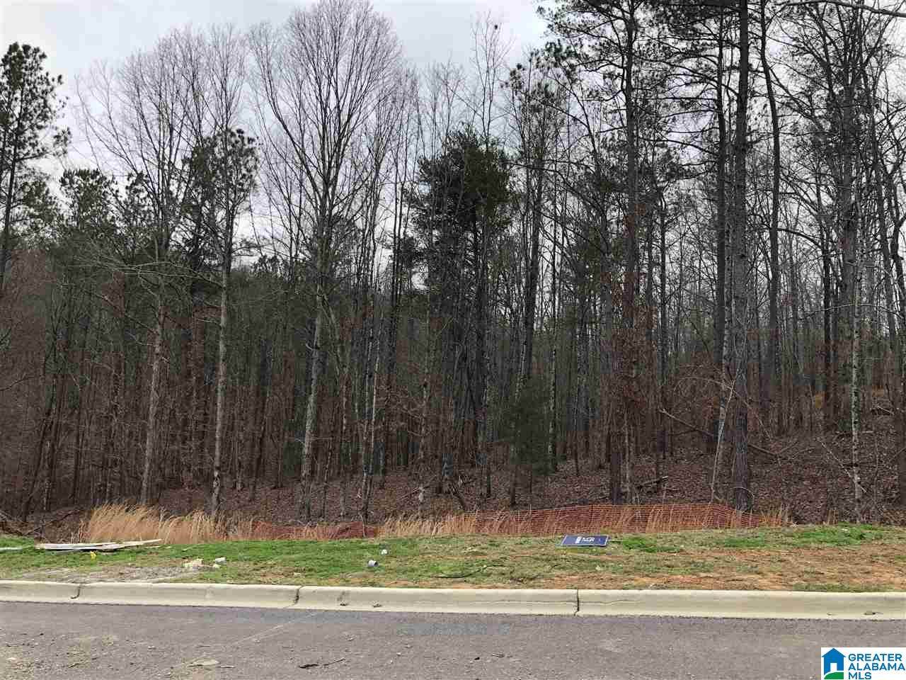 1784 Glasscott Trail - Photo 1